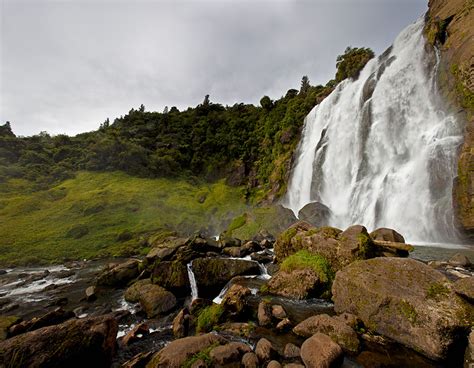 Discover new zealand wildlife with us, the locals. Ten Natural attractions in New Zealand | Travel Blog