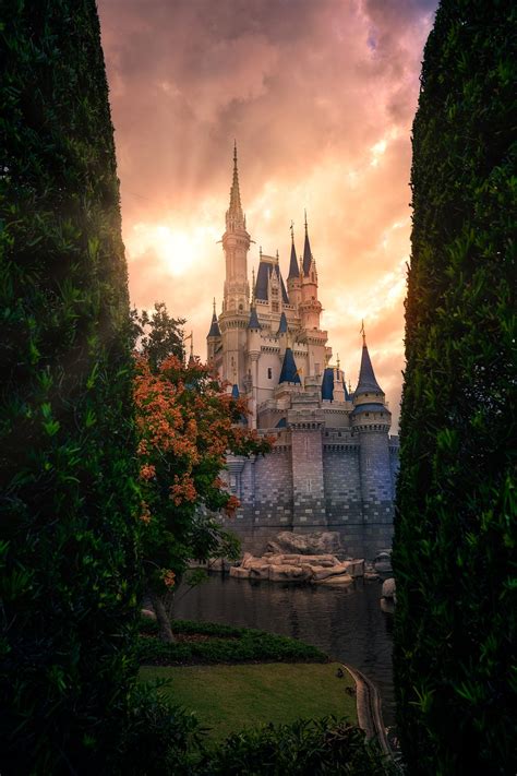 Cinderella Castle Sunset Between Two Trees Disney