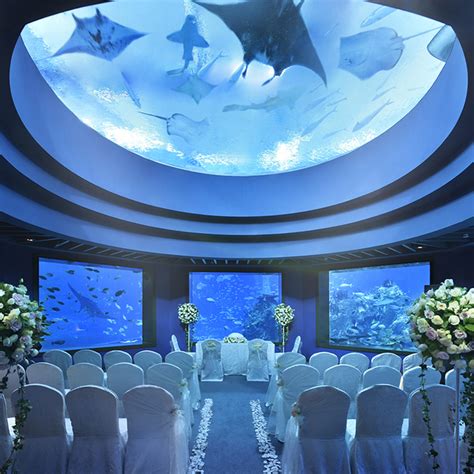 Ocean Dome Sea Aquarium Resorts World Sentosa Hitcheed