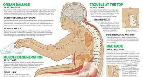 11 Health Dangers Of Sitting Too Long And How Its Slowly Crippling