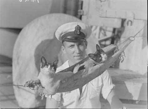 20 Historical Photos Of Cats And Their Soldiers In World War I And Ii
