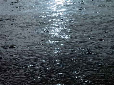 Rainfall Raindrops Raindrops On A Lake Chris Rubberdragon Flickr