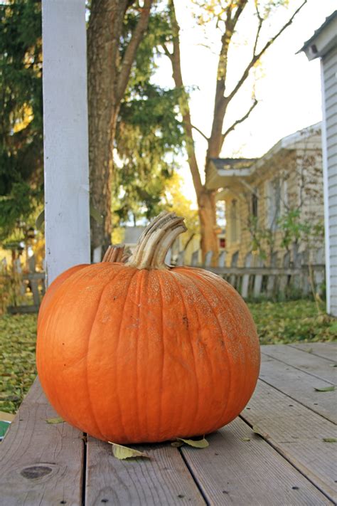 Free Images Nature House Fall Porch Produce Autumn Pumpkin