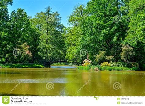 Beautiful Green Spring Park Stock Photo Image Of Calm Flower 122703448