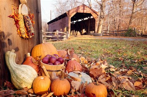 24 Reasons Fall Is Best Spent In The Country Thanksgiving Facts Thanksgiving Party Supplies