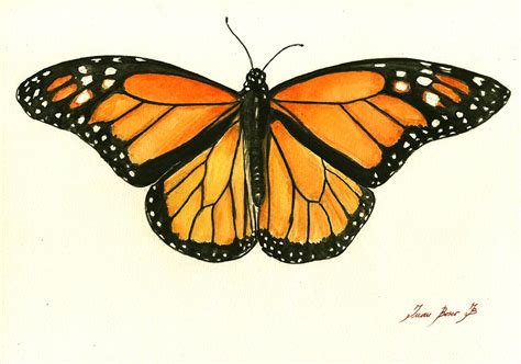 Monarch Butterfly Painting By Juan Bosco Pixels
