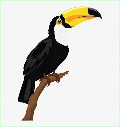 Download 15 Gambar Burung Sketsa Galeri Satwa