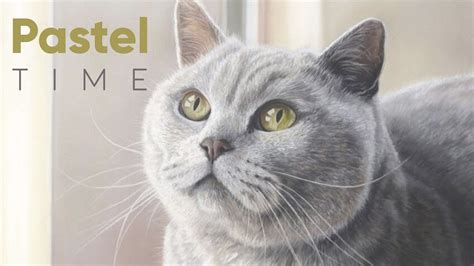 Cat Portrait In Soft Pastel On Pastelmat Youtube