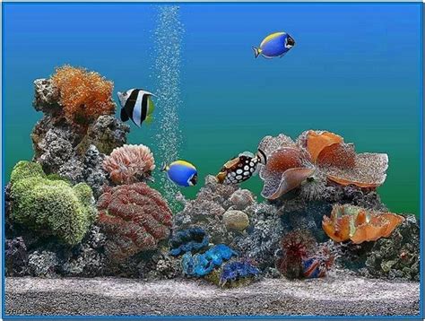 New animated 3d aquarium screen seaver full screen keygen pro include ...
