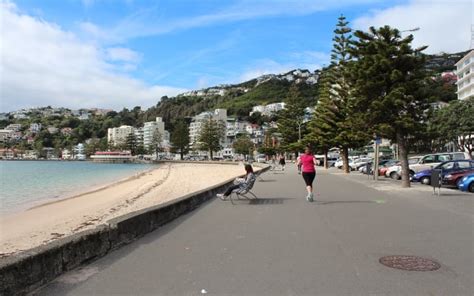A Guide To Wellingtons Beaches