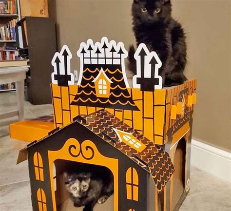Your Cats Can Now Have Their Very Own Haunted Mansion Cat House Cat
