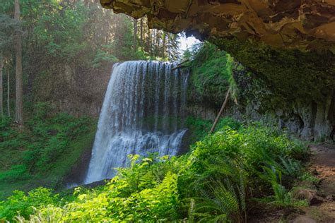 Majestic Waterfall Surrounded By Lush Foliage From Inside A Cave In