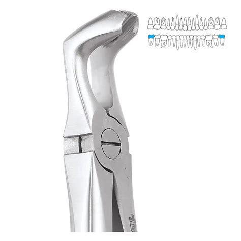 Buy Gdc Extraction Forcep Lower Third Molars 79 Standard Fx79s