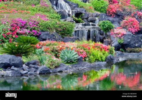 Waterfalls In Hawaii Most Beautiful Flower
