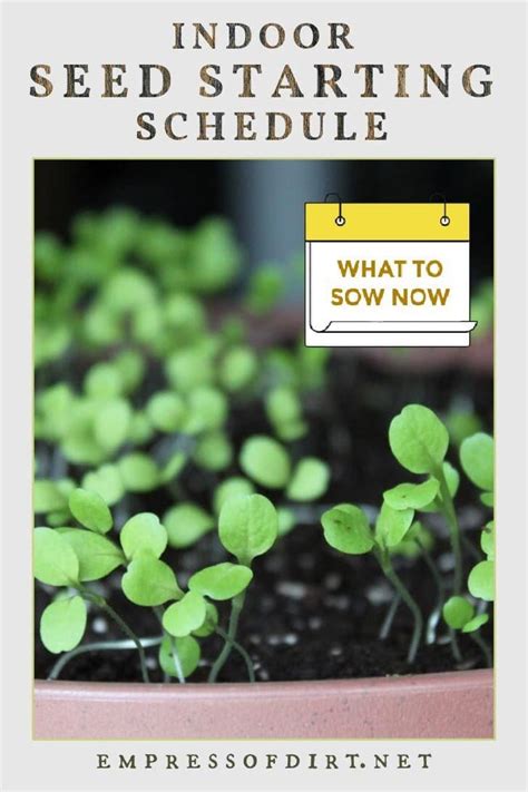 A Logical Indoor Seed Starting Schedule So Your Seedlings Are Ready For