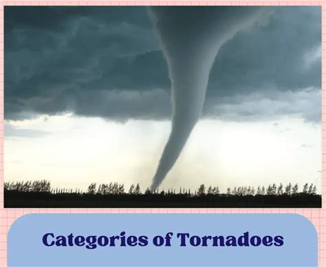 Does Georgia Get Tornadoes All You Need To Know