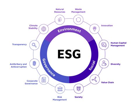 Sustainability And Esg Reporting Best Practices