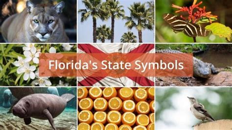 Learn What Floridas State Symbols Are With Our Complete List And Table