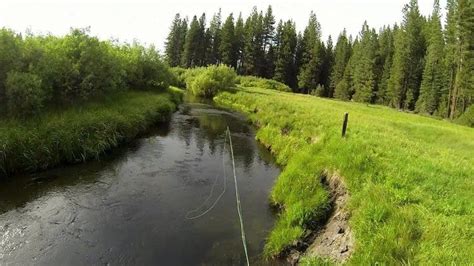 Diy Guide To Fly Fishing Yellow Creek In California Diy Fly Fishing