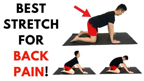 Best Back Exercises For Back Pain Exercisewalls