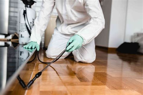 How To Start A Pest Control Business In 2024 Checkatrade