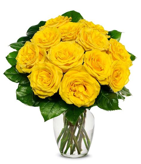 Click to see their flowers and reviews. Get Well Flowers | Get Well Soon Flower Delivery