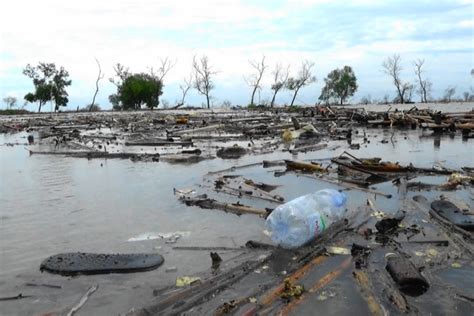 Nasib Pesisir Demak Hadapi Sampah Plastik Kerusakan Mangrove Dan My