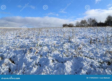 Winter Winter Field Under Cloudy Gray Sky Stock Image Image Of