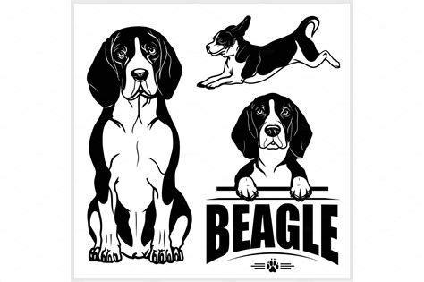 Beagle Dog Vector Set Isolated Vector Graphics Creative Market