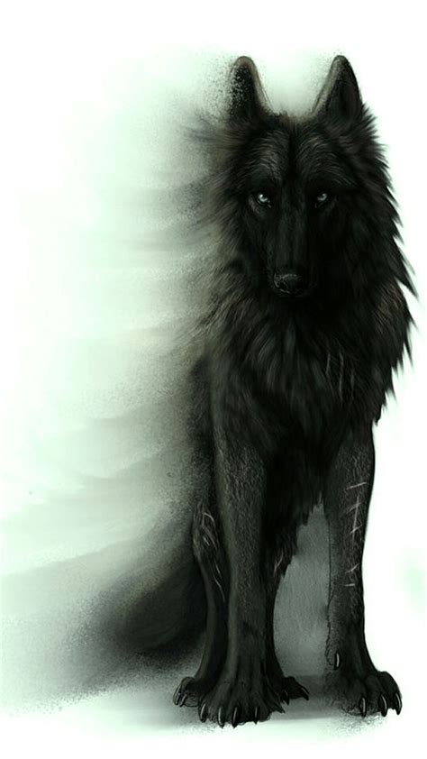 So Cool Wolf Tattoos Anime Wolf Wolf Spirit Spirit Animal Animal