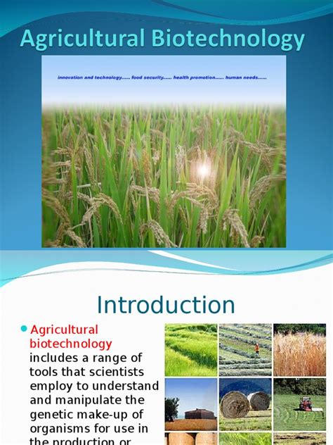 Agricultural Biotechnologyppt Plant Breeding Biotechnology
