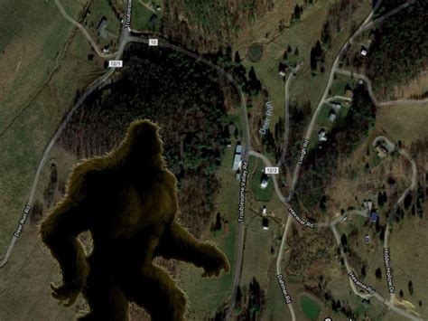 Bigfoot Sighting West Virginia Ghosts