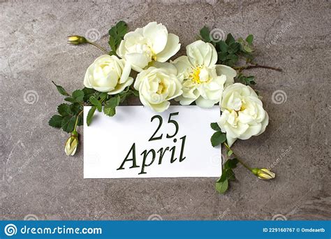 April 25th Day 25 Of Month Calendar Date White Roses Border On