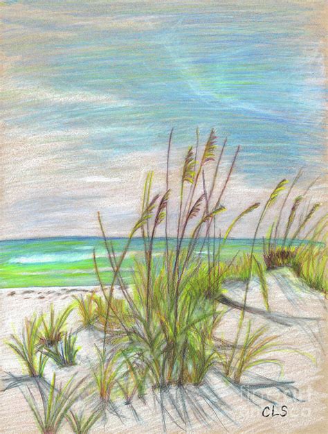 Sand Dune Drawing By C L Swanner