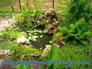 Though toads belong to the frog family, and are technically a. A small 200 gallon Frog Pond I put out to attract frogs ...