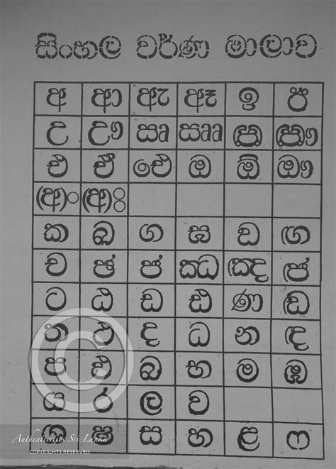 Savannah Verdon Worksheets Preschool Sinhala Alphabet Letters With