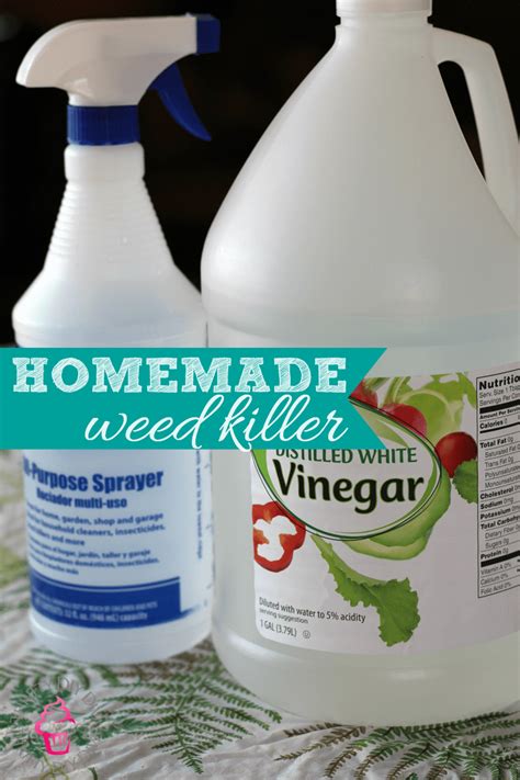 Commercial weed killers are not only expensive, but also bad for the environment. DIY Natural Homemade Weed Killer