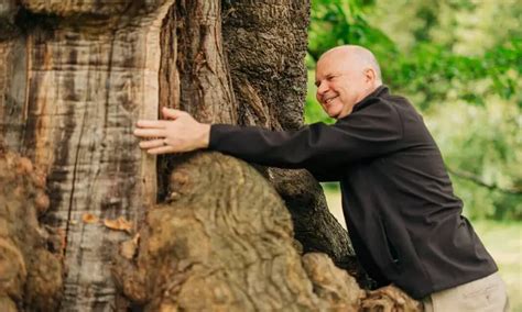 Why Are Trees So Important The Royal Parks