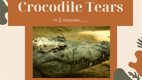 Crocodile Tears In 2 Mins Youtube