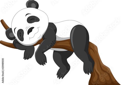 Cute Baby Panda Sleeping On A Branch Stock Image And Royalty Free