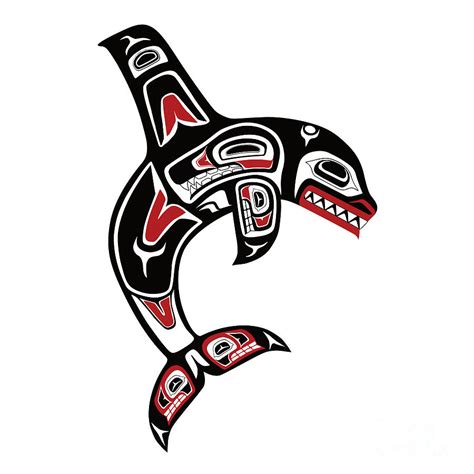 Pacific Northwest Native Orca Killer Whale Digital Art By Beltschazar