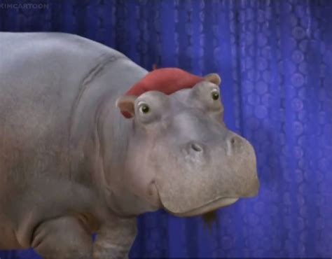 Hip Hippo Wonder Pets Wiki Fandom