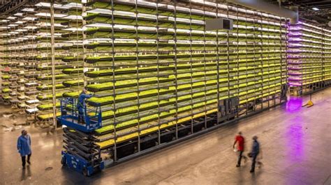Aerofarms Indoor Vertical Farm To Bring 92 New Jobs To Danville