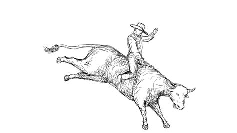 Bull Rider Drawing At Getdrawings Free Download