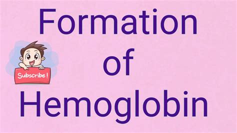 Formation Of Hemoglobin Youtube
