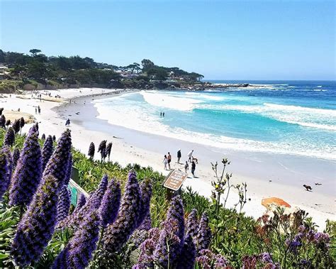 Carmel Beach Boardwalk All You Need To Know Before You Go