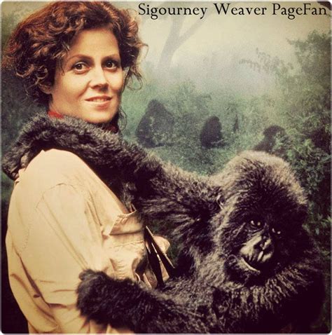 Gorillas In The Mist 1988 Sigourney Weaver As Dian Fossey Sigourney Weaver Gorillas In The