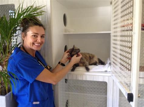 Boarding With Us Ulysses Veterinary Clinic Cairns