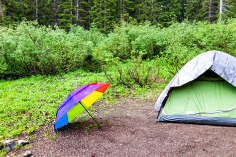 15 Best Gay Campgrounds In The Usa Updated 2023 Gay Friendly