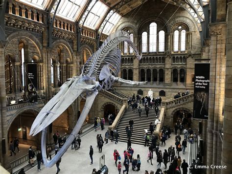 The Natural History Museum London A Walk Through Time Adventures Of